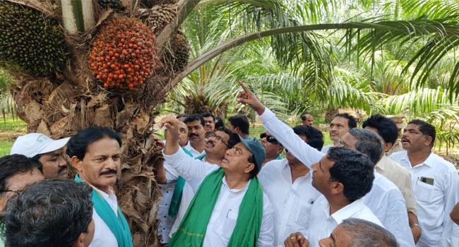 Oil palm రైతులు ఆయిల్‌ పామ్‌ సాగు ల‌క్ష్యంగా ముందుకు సాగాలి:Indra karan reddy