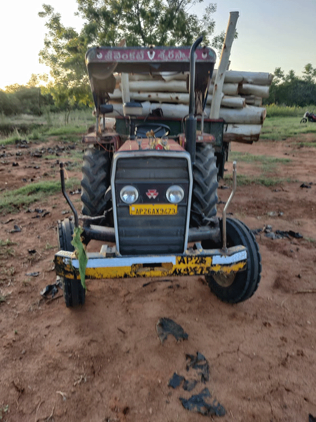 జామాయిల్‌ కర్ర స్వాధీనం