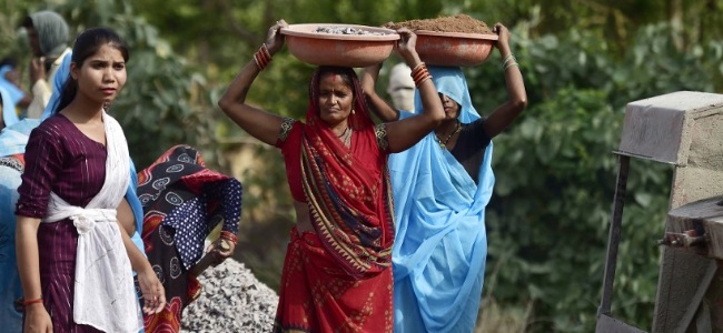 Jal Saheli : కనుమరుగైన నీటి వనరుల పునరుజ్జీవానికి మహిళల కృషి