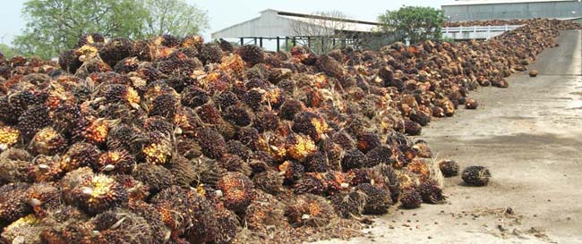 ఆనందం ఆవిరి