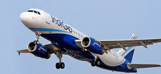IndiGo Plane Troubles: అస్సాంలో బురదలో కూరుకుపోయిన విమానం