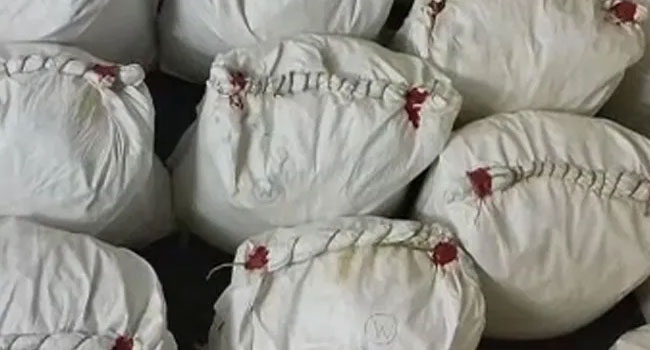 Drugs Seized : ముంబైలో రూ.1400 కోట్ల విలువైన డ్రగ్స్ సీజ్