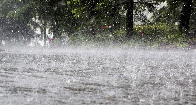 Heavy rains: జనగామలో భారీ వర్షం... చీటకోడూరు రిజర్వాయర్‌కు పోటెత్తిన వరద