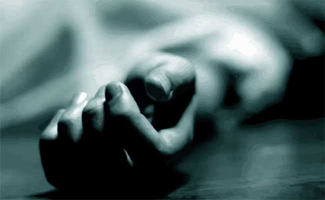 Domestic violence: న్యూయార్క్‌లో ఎన్నారై మహిళ ఆత్మహత్య.. ఘటనకు ముందు తీసిన చివరి వీడియోతో..