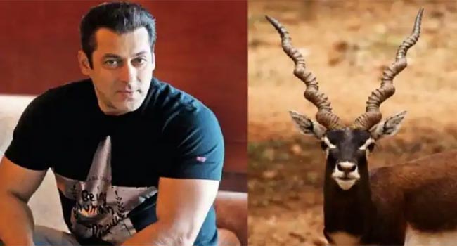 blackbuck killed by Salman Khan: సల్మాన్‌ఖాన్‌ కృష్ణజింకను చంపిన స్థలంలో స్మారకం