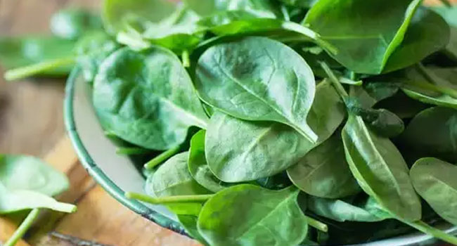 lettuce benefits: మెదడు, గుండె ఆరోగ్యాన్ని పెంచె పాలకూర.. ముసలితనాన్ని వాయిదా వేస్తుందా?