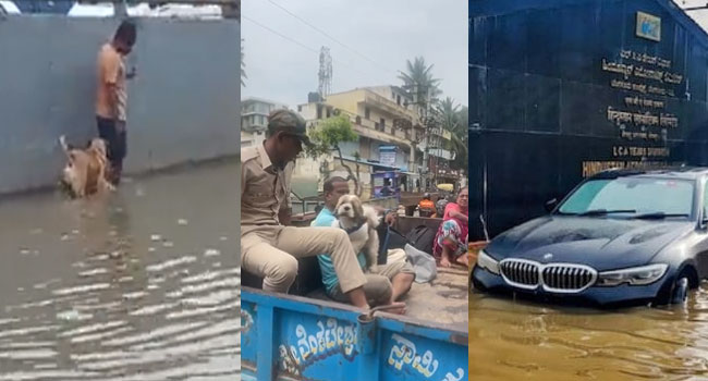 Bengaluru floods: బెంగళూరు వరదలు.. హృదయాలను కదిలిస్తున్న ఘటనలు.. అంతా అయ్యో పాపం అంటూ..