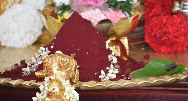 Sharnnavaratri celebrations: ఇంద్రకీలాద్రిపై అర్చకుల సరికొత్త‌ ప్రయోగం... భక్తుల హర్షం