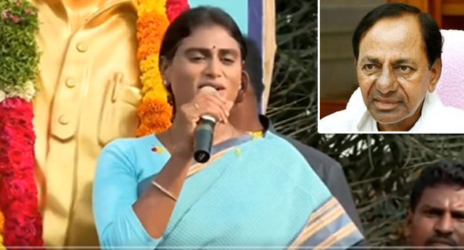 Ys Sharmila: సీఎం కేసీఆర్ జాతీయ పార్టీపై వైఎస్ షర్మిల సెటైర్లు