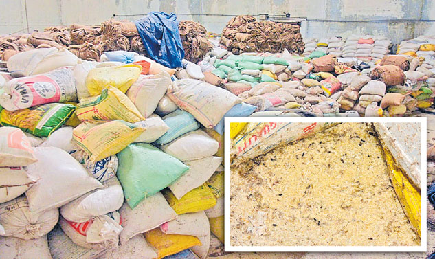 పురుగు పట్టి..గడ్డ కట్టి