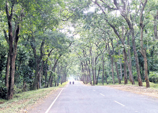 తాళ్లపాలెం-భద్రాచలం జాతీయ రహదారి