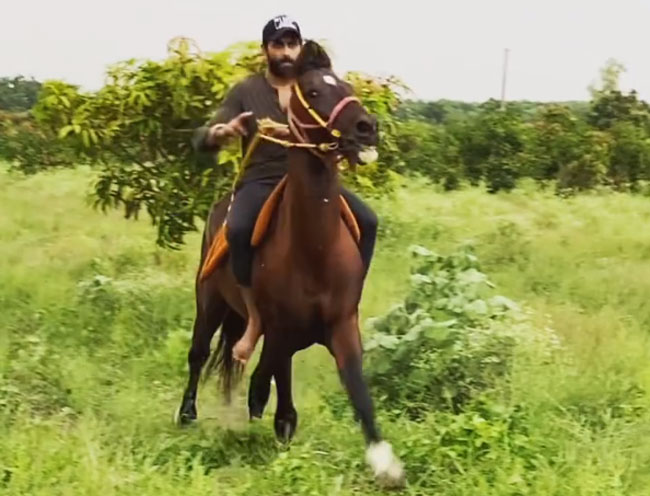 జడేజా హార్స్ రైడింగ్ వీడియో వైరల్!