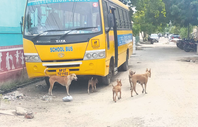 కుక్కలు, కోతులతో బెంబేలు