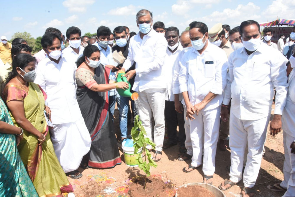ఆధునిక పద్ధతుల్లో సులువుగా మల్బరీ సాగు