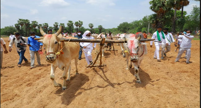 లాభసాటి వ్యవసాయానికి ముఖ్యమంత్రి కేసీఆర్ నిర్ణయం-మంత్రి జగదీష్ రెడ్డి