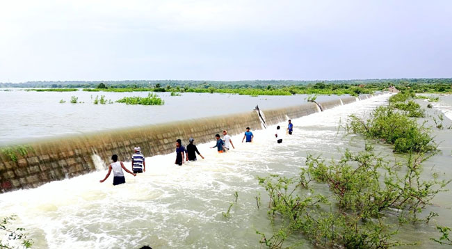 కమ్ముకున్న ముసురు