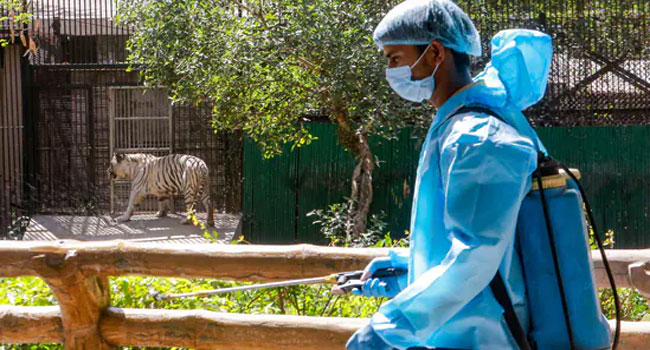 Delhi zoo: పార్కు రేపటినుంచి పునర్ ప్రారంభం