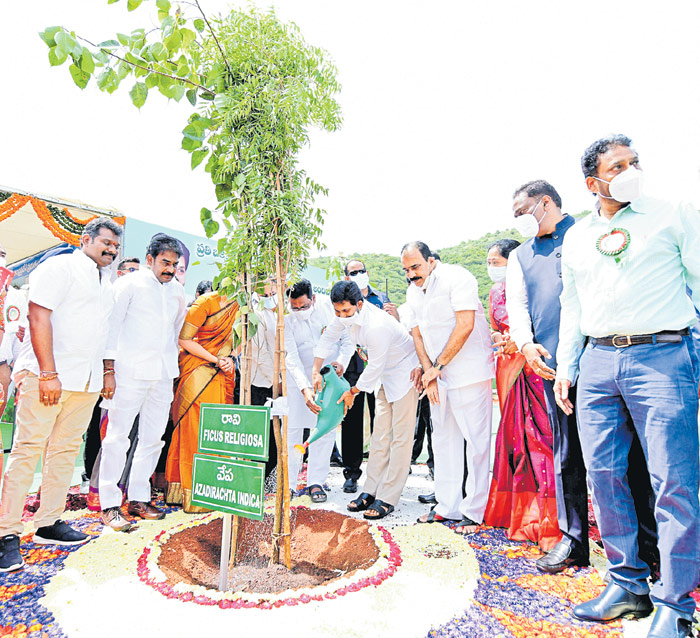 యజ్ఞంలా చెట్ల పెంపకం! | Chief Minister YS Jaganmohan Reddy tree planting