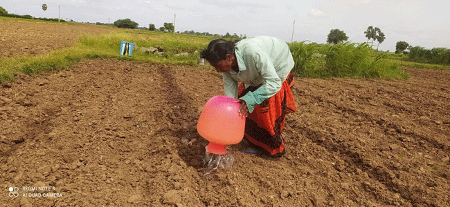 ‘బిందె’ సేద్యం