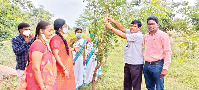 పాఠశాలల్లో ‘వృక్షాబంధన్‌’