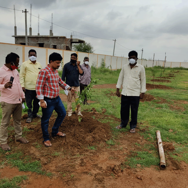 ప్రతి మొక్కకూ రక్షణ కల్పించాలి