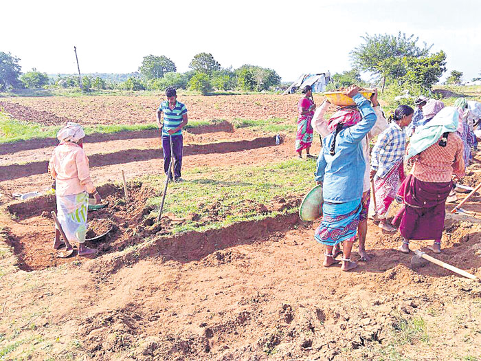 ఇచ్చారు.. ఆపేశారు