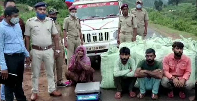 Odisha: 21 క్వింటాళ్ల గంజాయి సీజ్..26 మంది అరెస్ట్