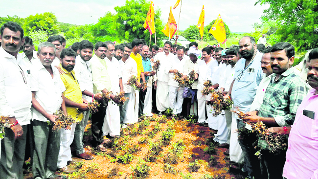 ప్రభుత్వం ఇస్తున్న భరోసా ఏంటి?