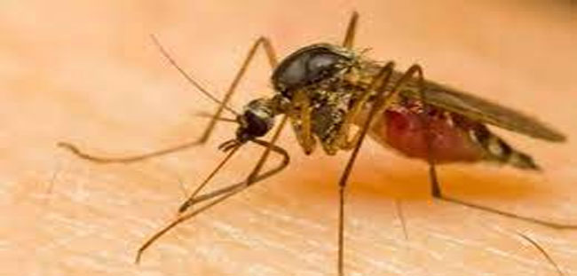 కాన్పూరులో Zika virus కలవరం...89కి పెరిగిన కేసులు