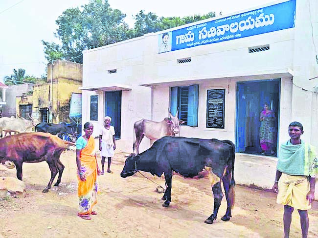 సచివాలయం వద్ద పశువులతో నిరసన