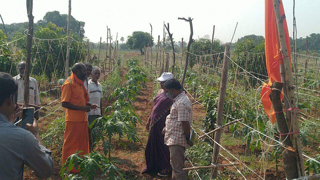 నున్నలో ఆర్గానిక్‌ పంటల పరిశీలన