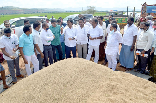 అన్నదాతలకు ప్రభుత్వం ఆపన్నహస్తం