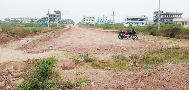 రాజకీయ జోక్యంతో మాస్టర్‌ ప్లాన్‌కు మంగళం