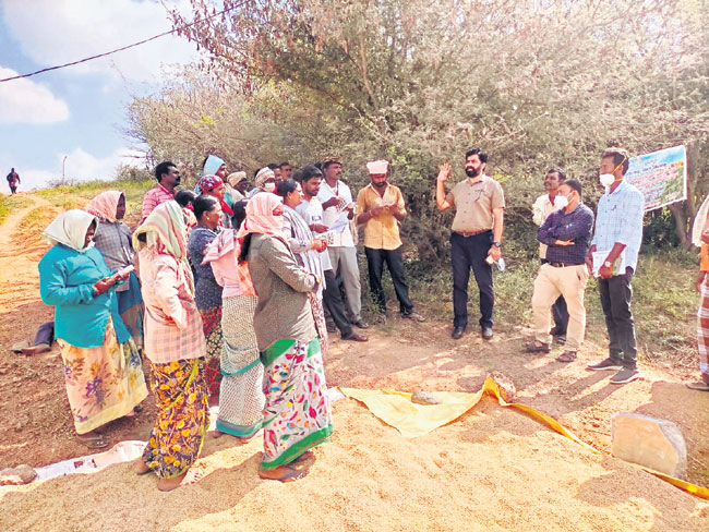 ధాన్యాన్ని ఎఫ్‌సీఐ కొనుగోలు చేయదు: జేడీఏ