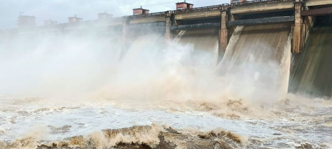 ప్రాజెక్టుకు పగ్గాలు