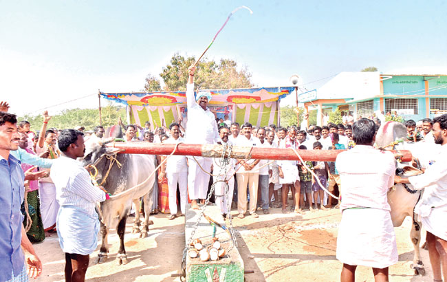 రైతుల అభివృద్ధికి  కృషి