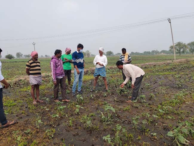 వడగండ్ల వానతో దెబ్బతిన్న పంటల పరిశీలన