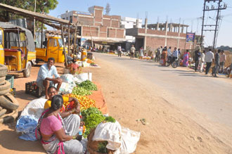 ఉద్యమస్ఫూర్తితో మొక్కలు నాటాలి