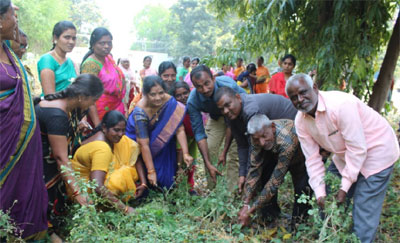 నేటితో ముగియనున్న పట్టణ ప్రగతి