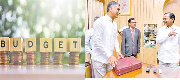 అవాస్తవిక బడ్జెట్!