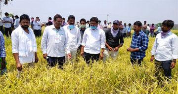 రైతులు అధైర్యపడోద్దు.. ప్రభుత్వం ఆదుకుంటుంది..