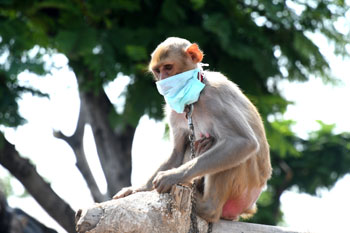 నరుడా.. నేర్చుకో!