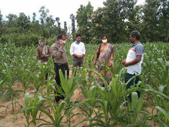 వరి సాగుపై  శ్రద్ధ వహించండి