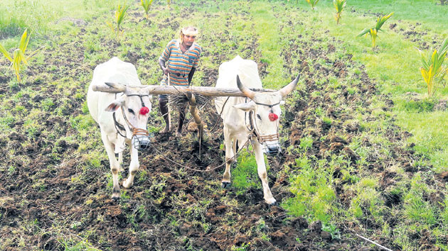 కార్పొరేట్‌కు వ్యవ‘సాయం’!