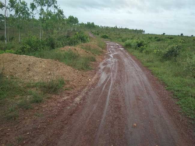 అభివృద్ధి పనులకు అటవీ అనుమతుల కొర్రీ