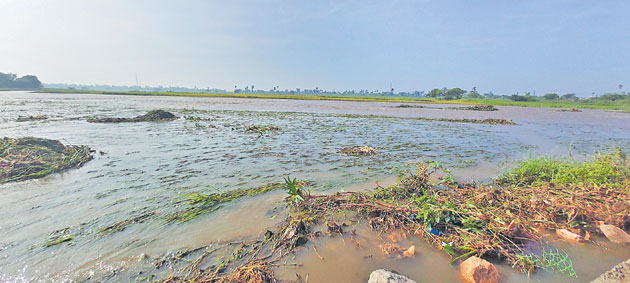మేడ్చల్, రంగారెడ్డి జిల్లాలో పంటలకు నష్టం
