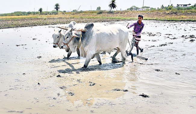 సాగు మొదలైంది.. సాయం కరువైంది!