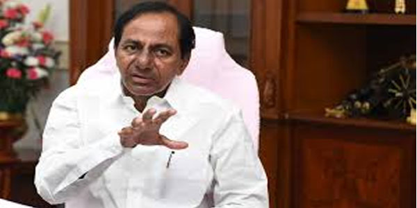 నాణ్యమైన పత్తికి తెలంగాణ ప్రసిద్ధి- కేసీఆర్