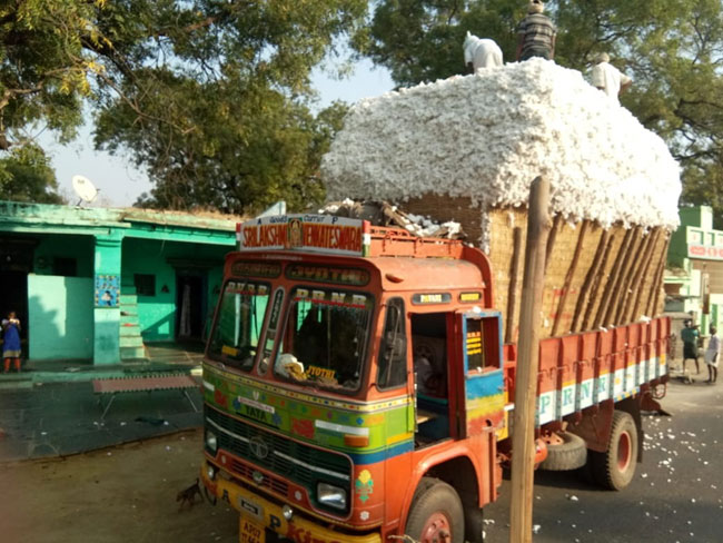 పక్కాగా పత్తి దోపిడీ..!