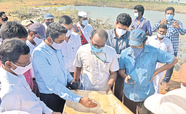 ఎన్జీటీ బృందం రాకతో.. బండారం బట్టబయలైంది!